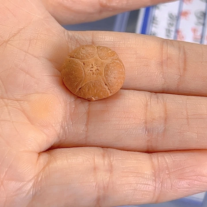 凤眼菩提吊坠光**北16+五星开播福利81@2781