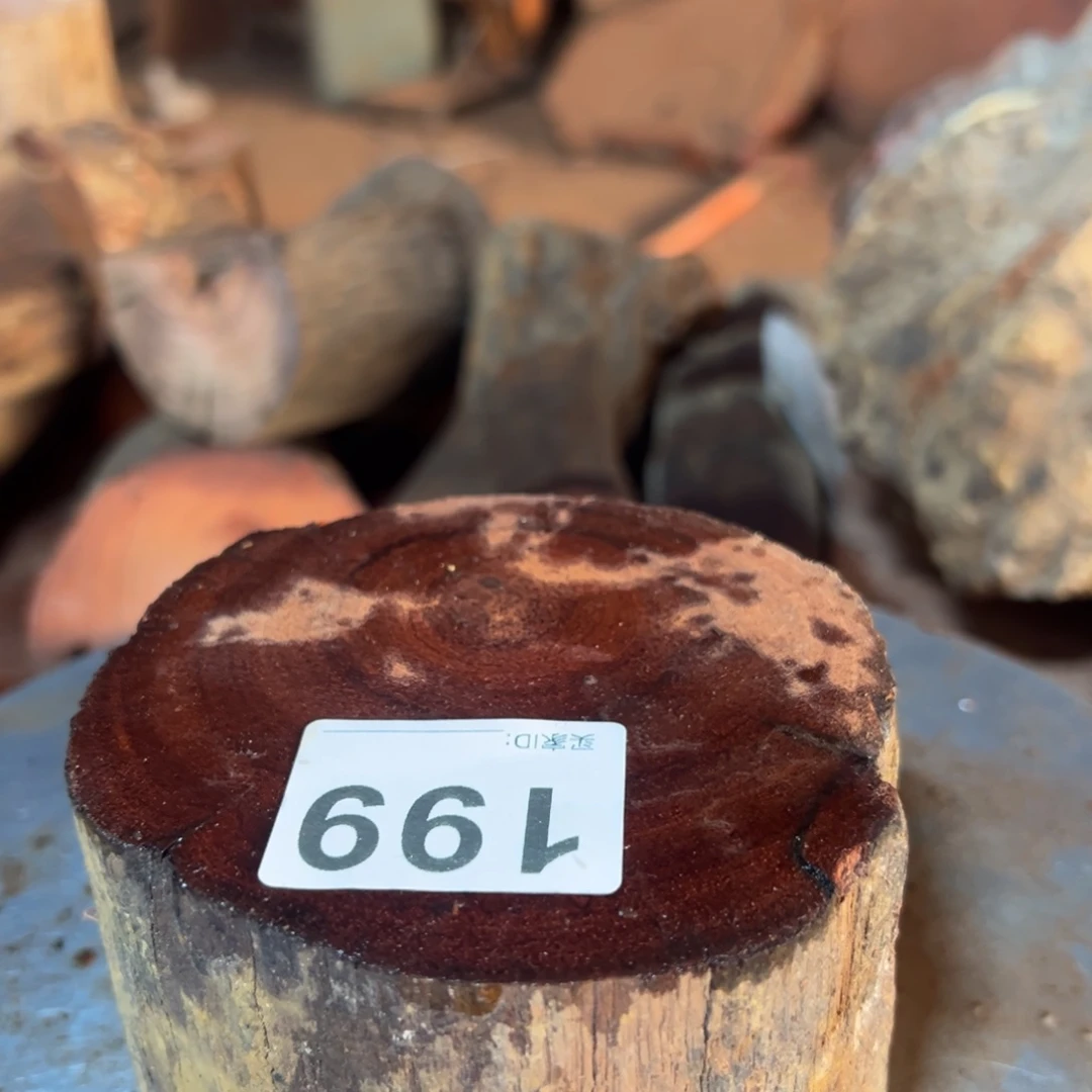 大果紫檀（缅甸花梨）