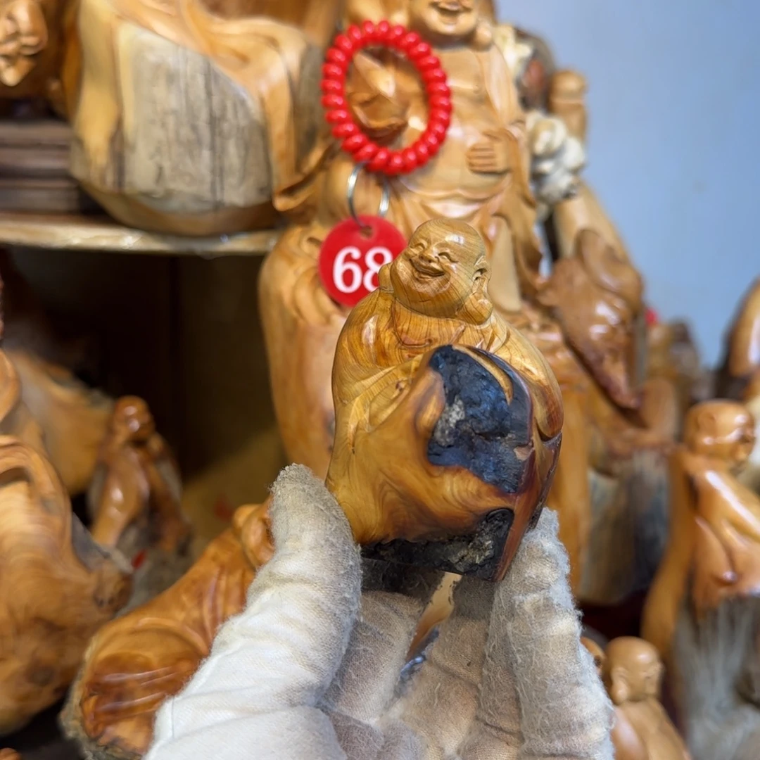 柏木（崖柏）6666699966