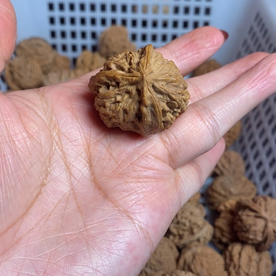 森***）文玩核桃把件尺寸
