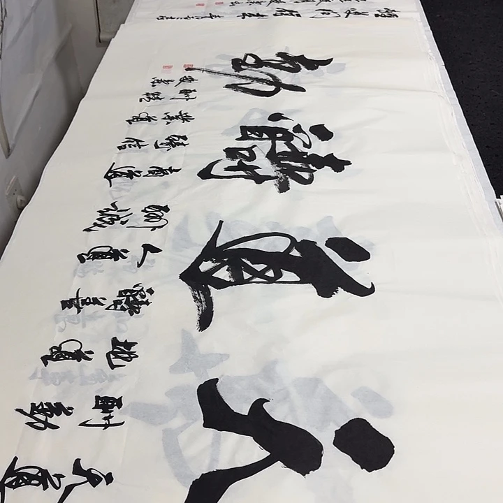 书法老师精品行书平尺