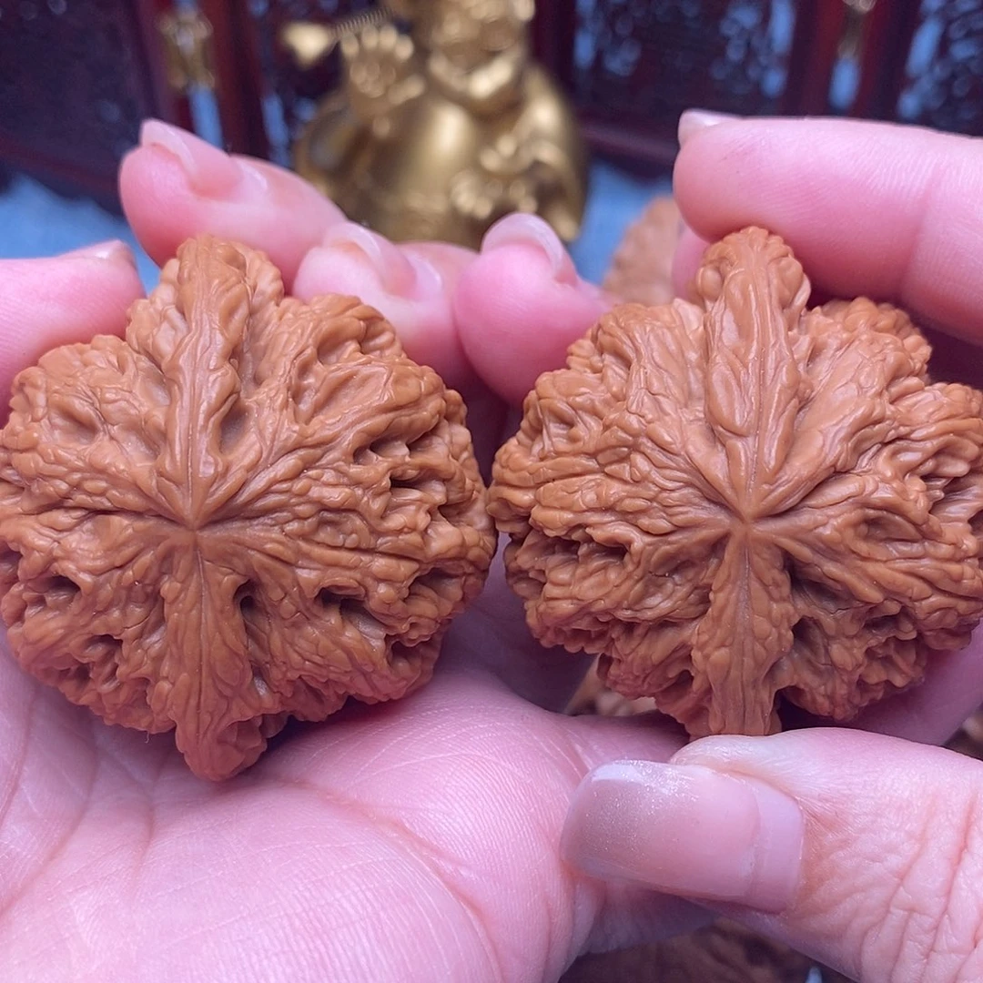 文玩核桃把件48全品毕业粗筋