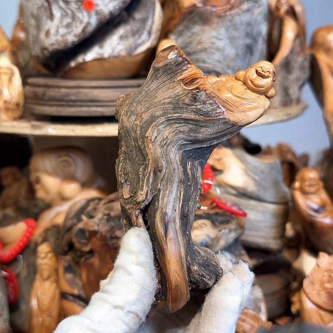 柏木（崖柏）66666666