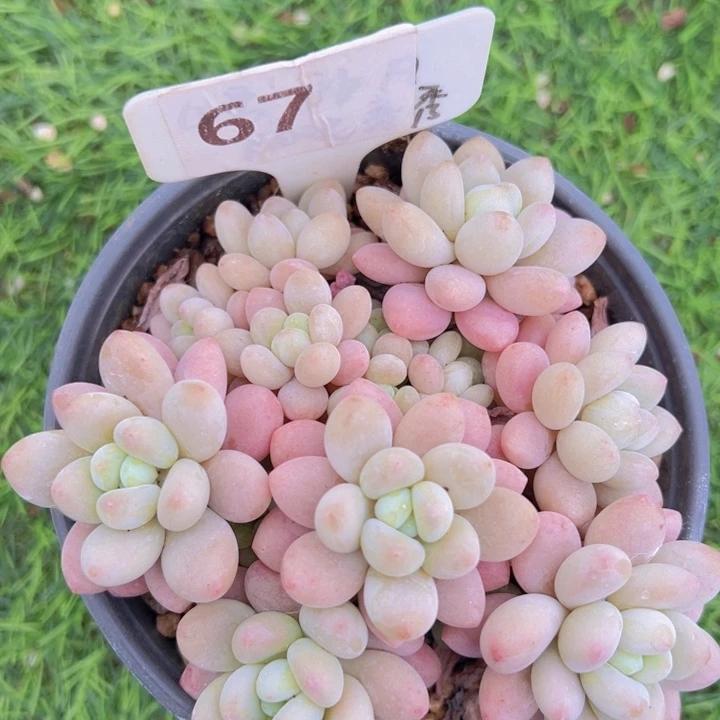 健健康康平平安安