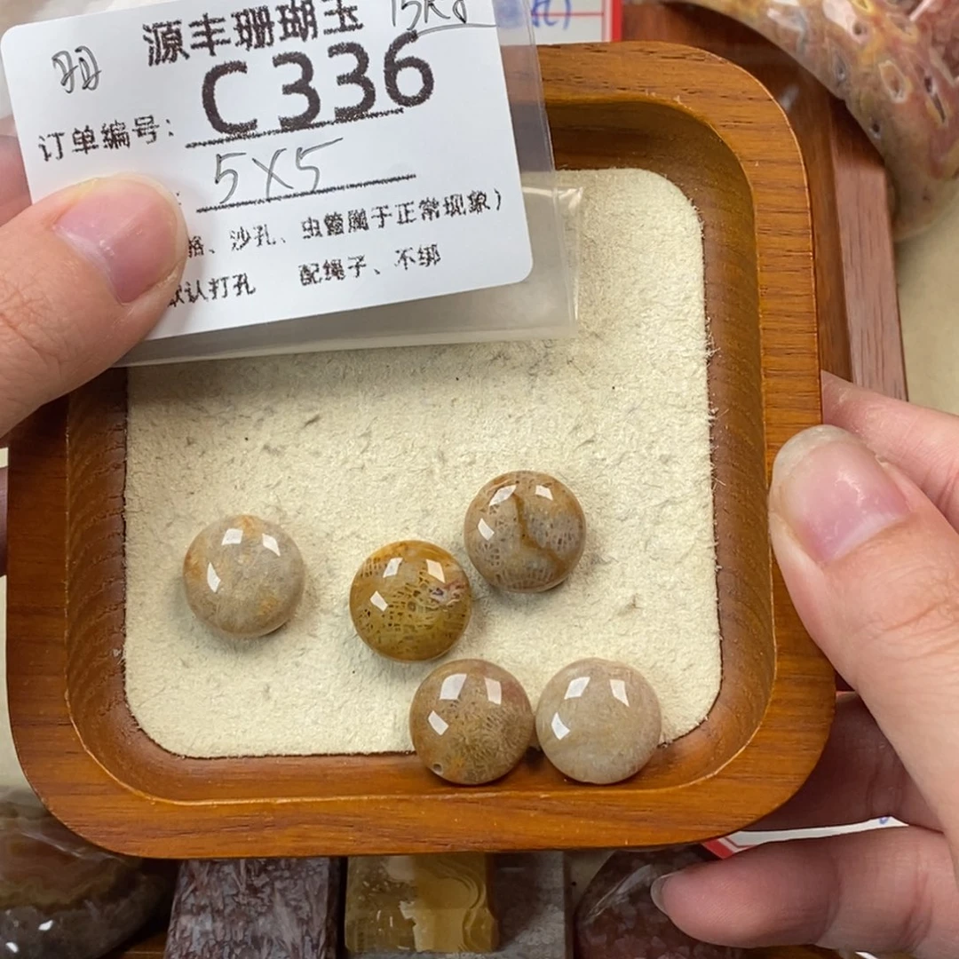 A***外硅化玉未镶嵌颈饰