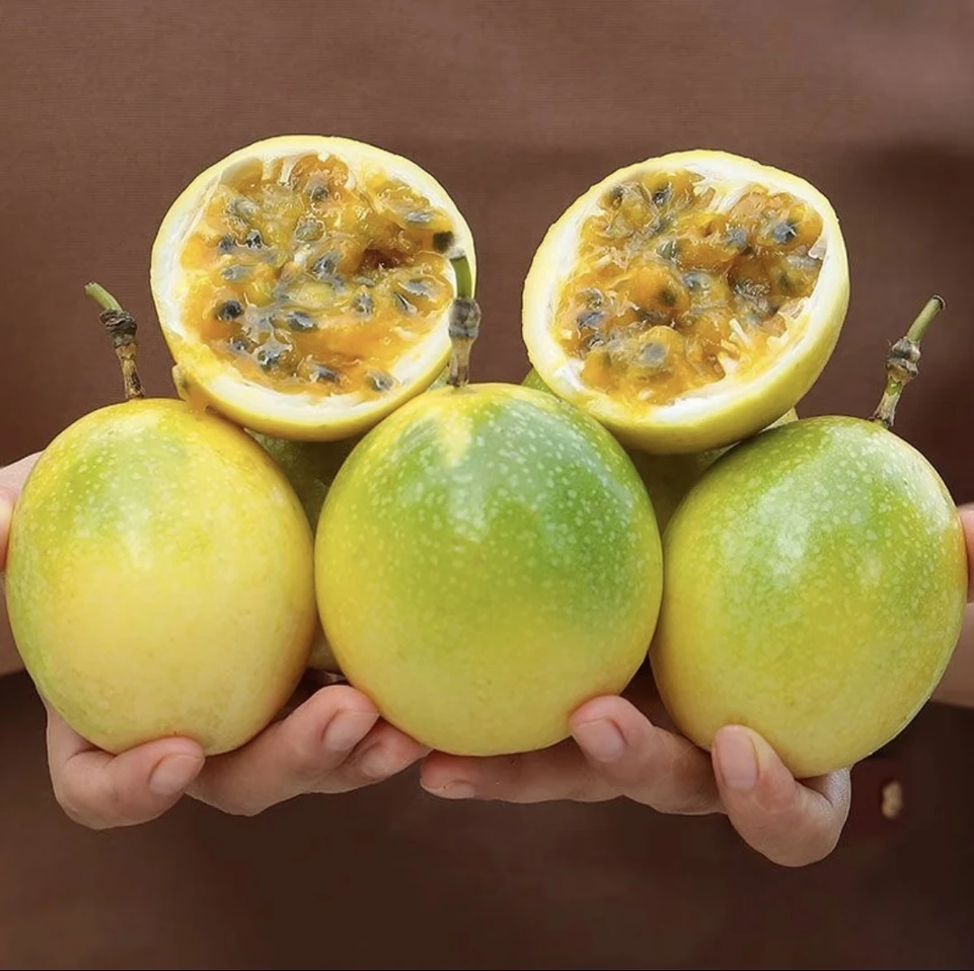 正宗广西钦蜜9号百香果新鲜香甜多汁黄金百香果大果产地直发 l