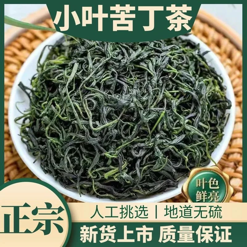 贵州小叶苦丁茶青山绿水嫩芽叶新茶