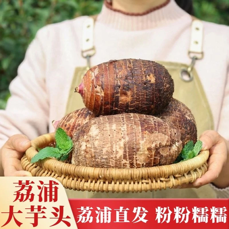 正宗广西荔浦特产新鲜大芋头香芋当季现挖槟榔芋粉糯蔬菜整箱批发