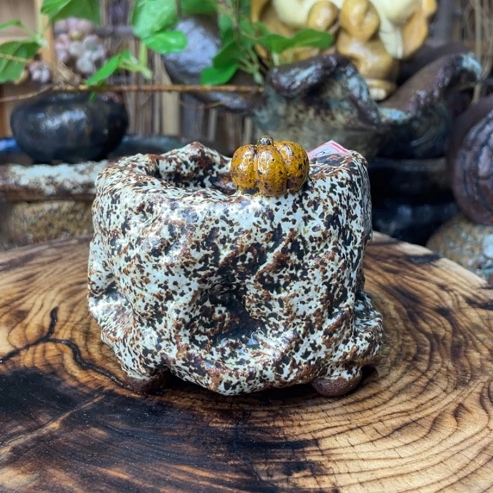 陶瓷制品不退不换109