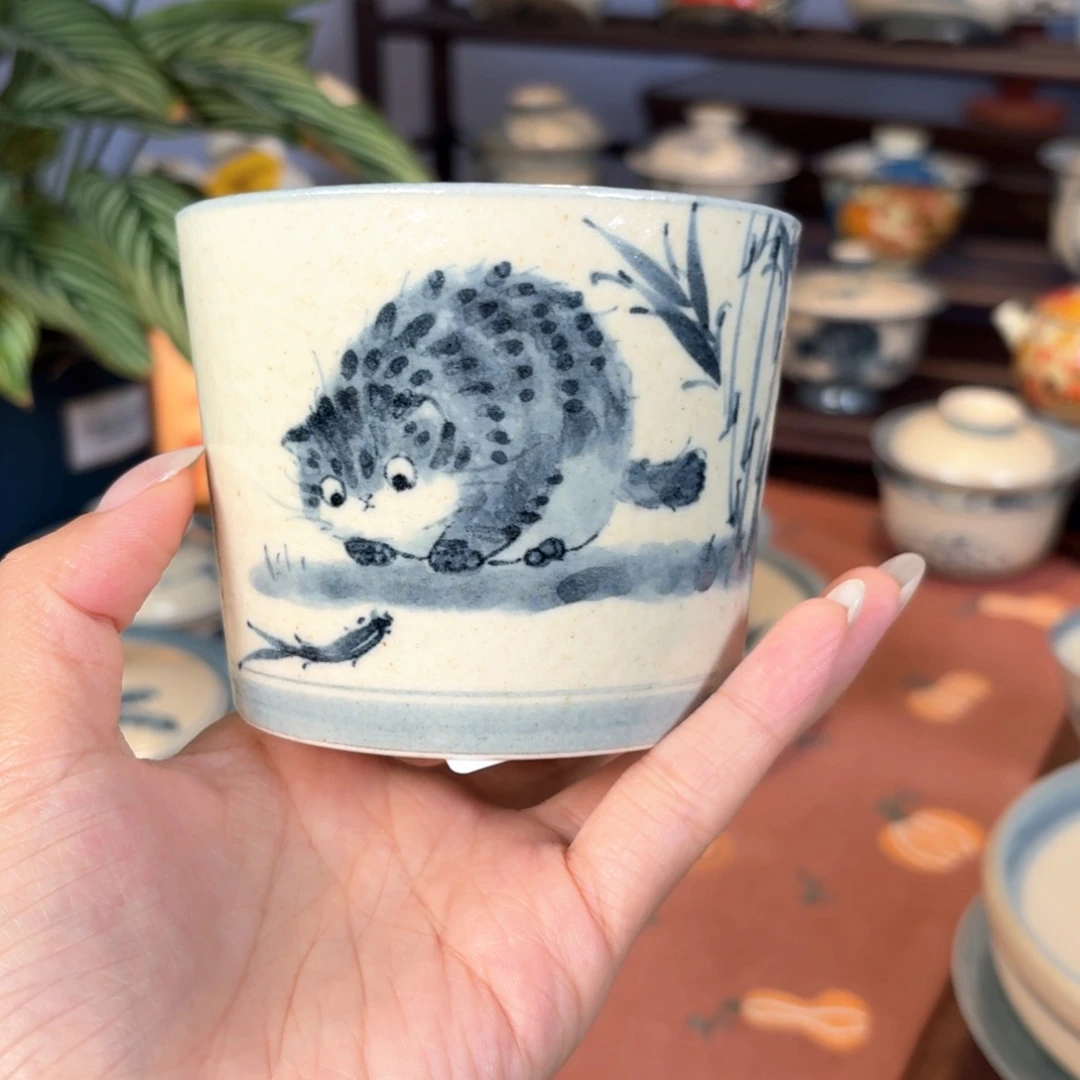 杯杯杯杯杯杯杯527