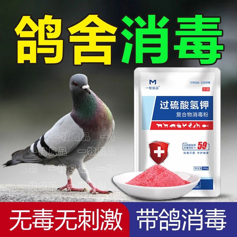 鸽舍专用消毒液过硫酸氢钾消毒液养殖场专用鸽子消毒剂鸽舍消毒液