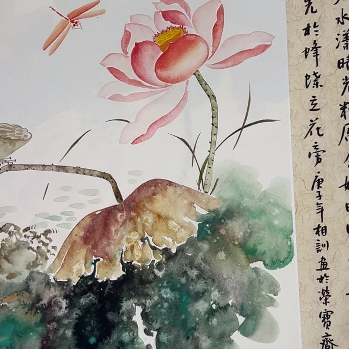 横款新号开播，惊喜不断