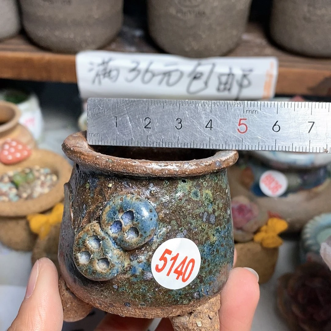 红陶拍5送一个小