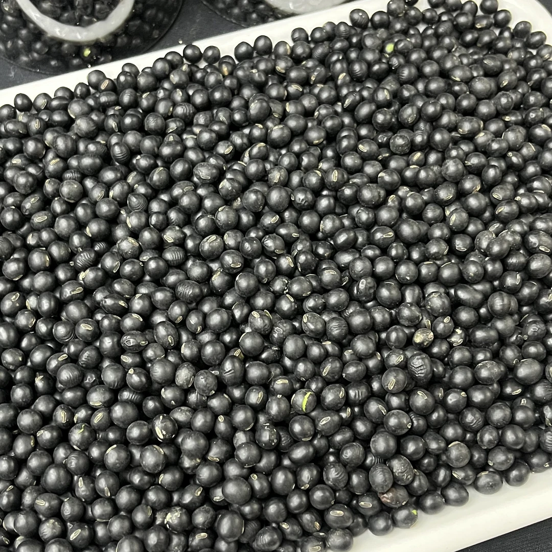 小太阳景云 黑豆 特产干货 1000g