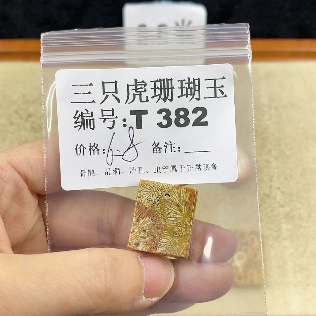 硅化珊瑚（珊瑚玉）1未镶嵌九*月