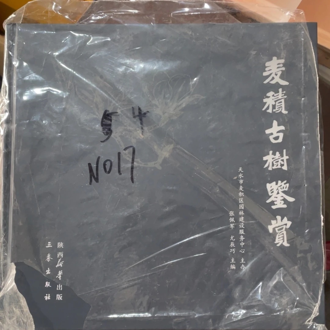 麦积古树路鉴赏精装塑封