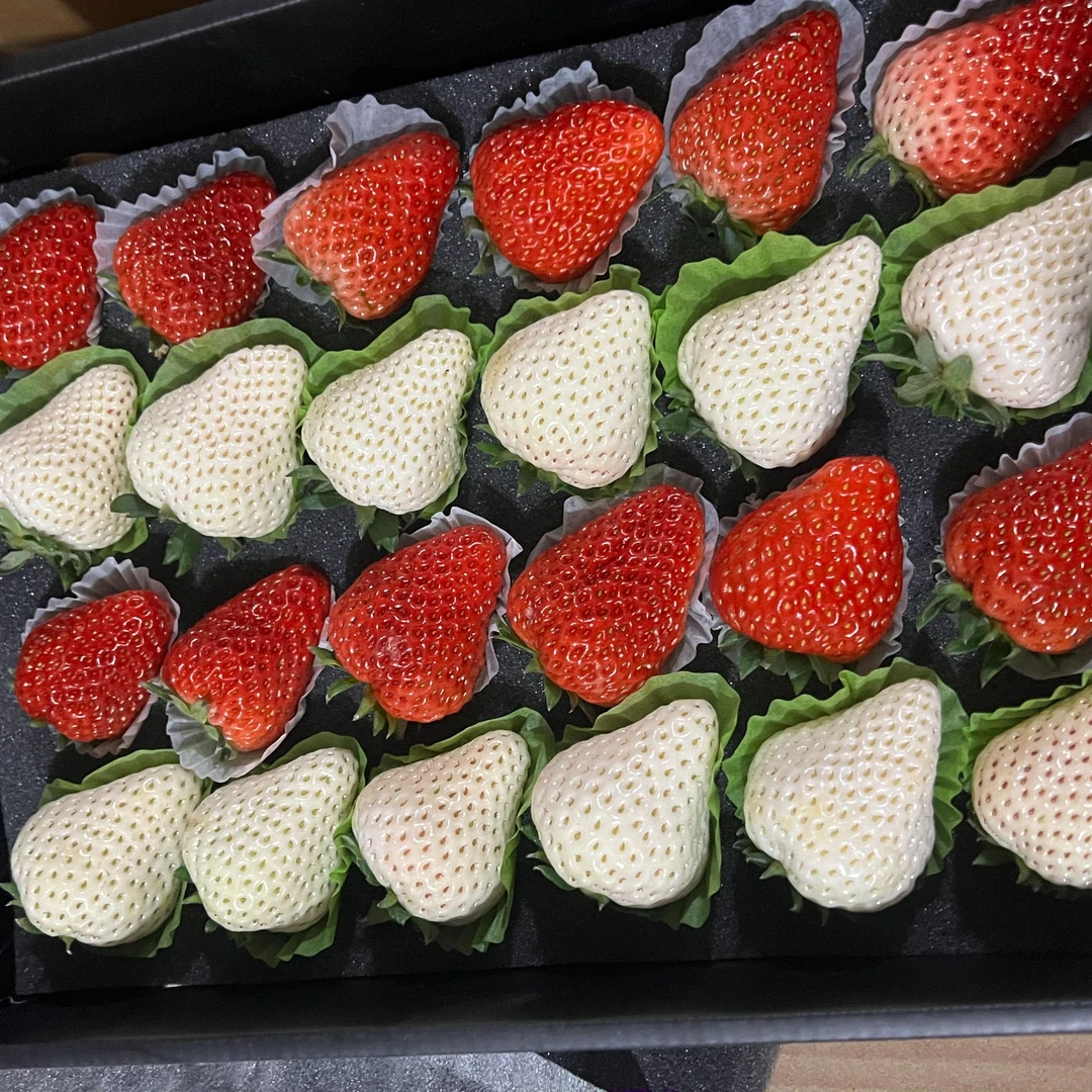 【高端】草莓礼盒24粒（12粒九九红颜+12粒白雪公主）净重750g±10g【坏果包赔】红颜辽宁省