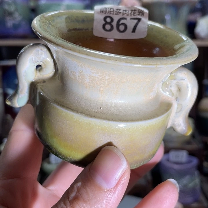 狼盆内口径6高度6