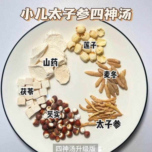 太子参四神汤补脾胃组合小儿参大人小孩都可食调理脾胃增强免疫力