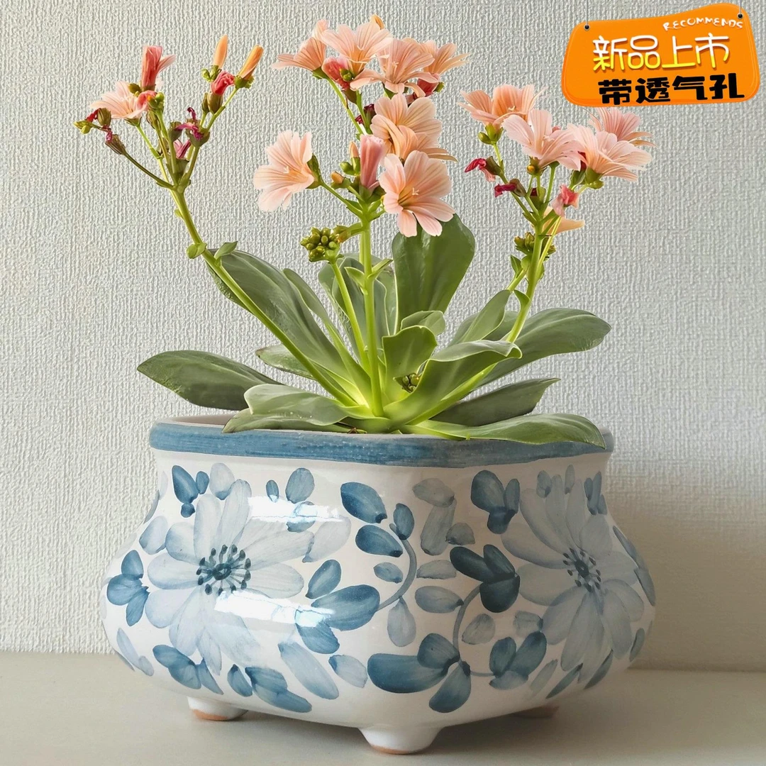 个性方形陶瓷花盆多肉植物室内花卉盆栽盆小老桩绿植盆易爆棚新款