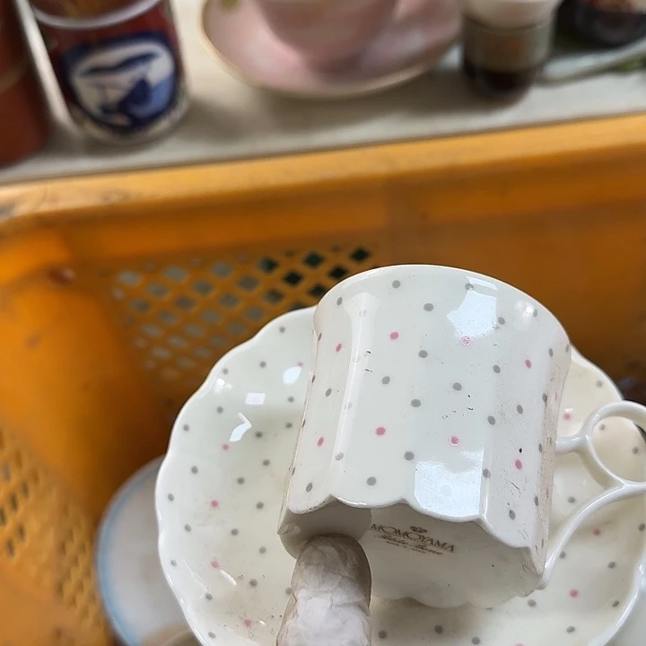 碟开播啦…开播啦