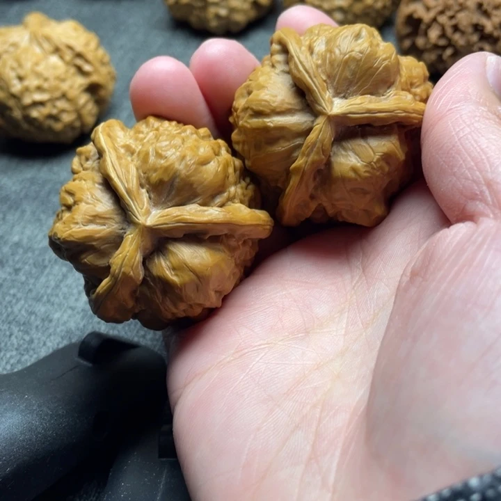 金***长手工三棱蛤蟆头三棱