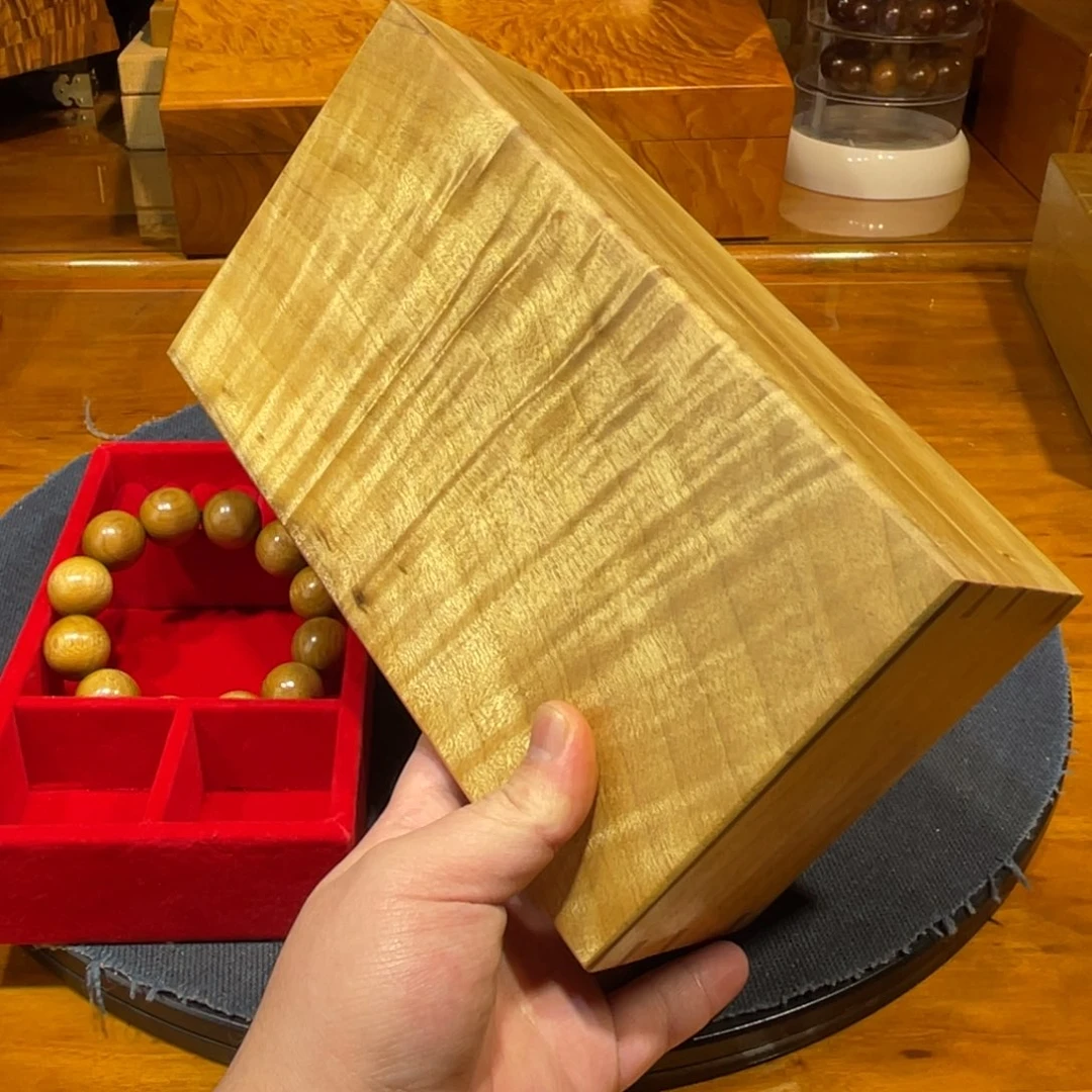 金丝楠23cm云彩凤尾金丝楠木小叶桢楠