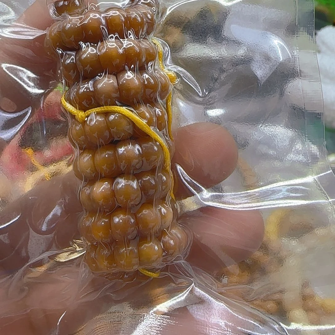 一****手串星月菩提107傲世龙脊菩提7-108