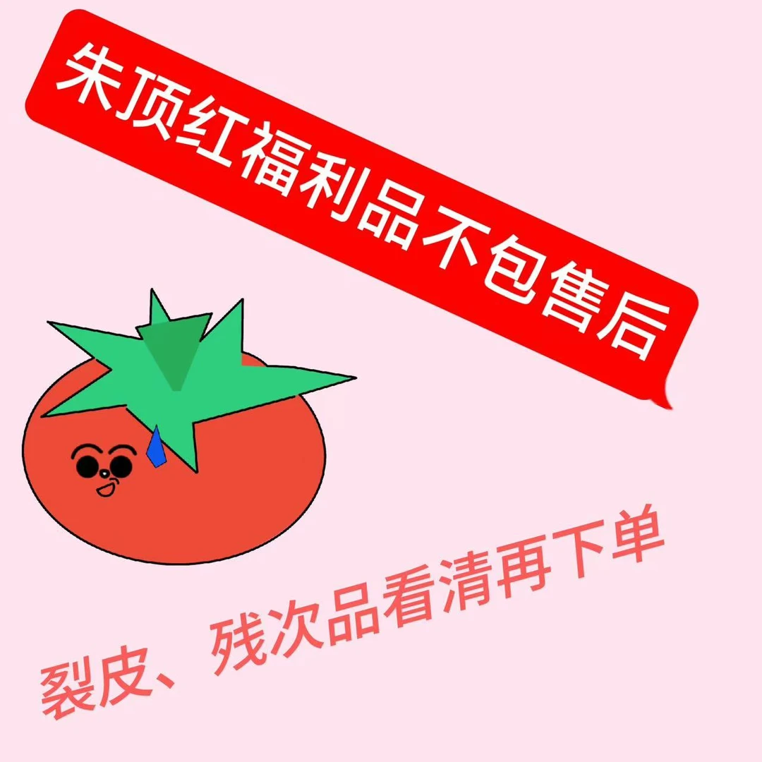 【福利品】进口朱顶红裸球。盆栽等