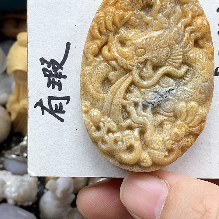 颈饰未镶嵌硅化珊瑚（珊瑚玉）