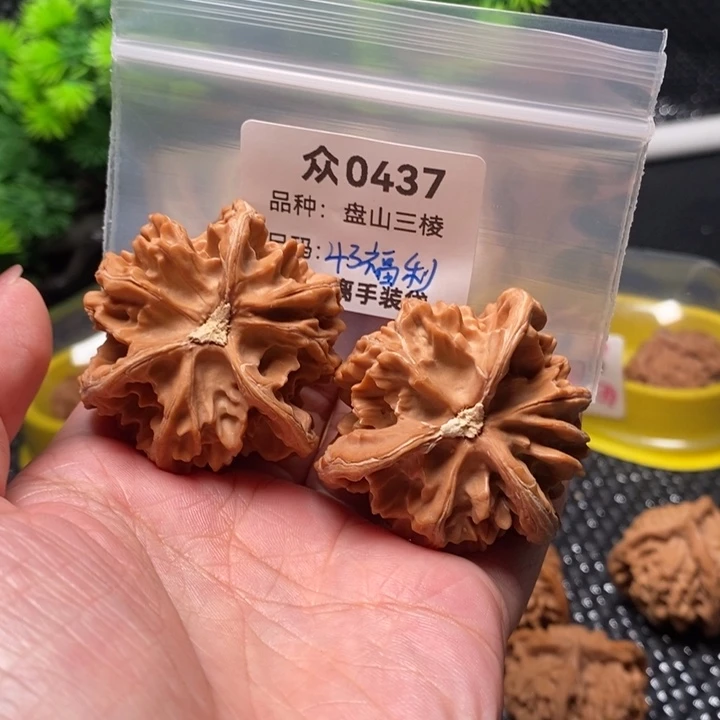 大***子吊坠桃核众0437-全品盘山43福利