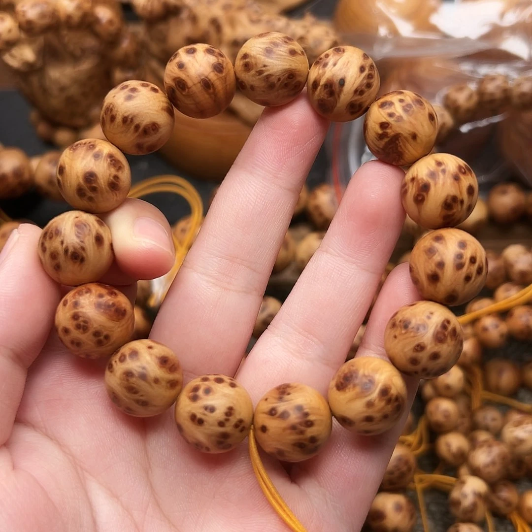 柏木（崖柏）其他太行1.5