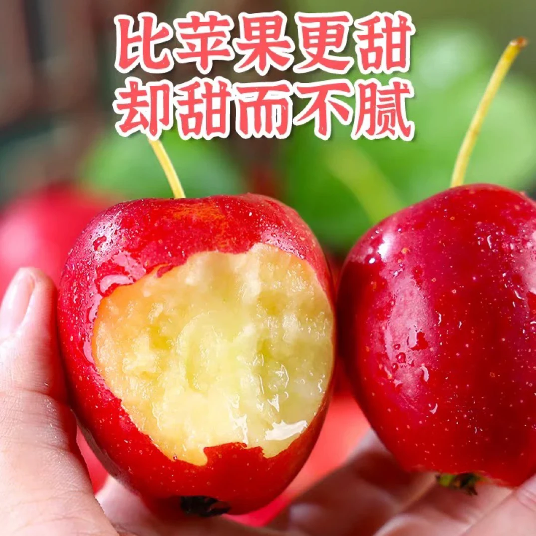 老牛优选 新疆海棠果 1件3斤 礼盒框 快递包邮