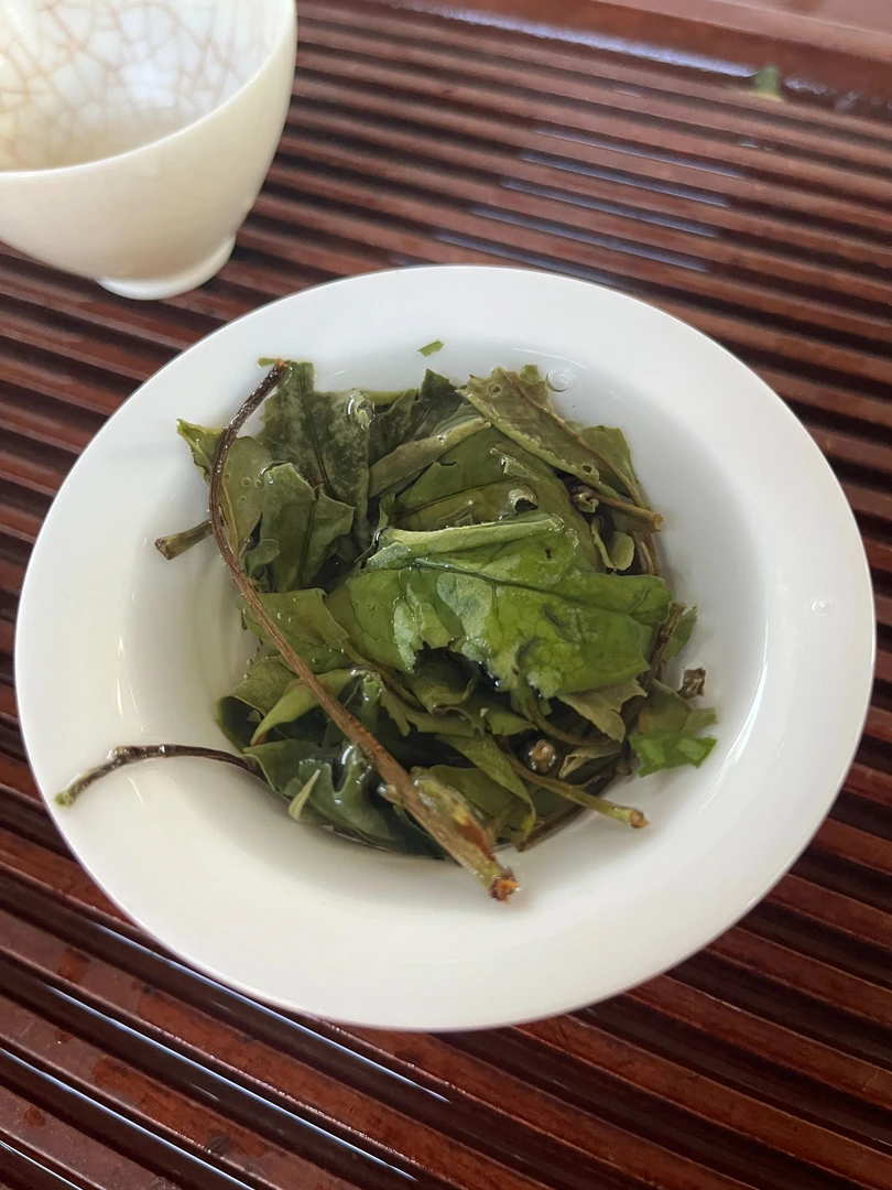 【收茶专用】2024年  奶香老枞寿眉  白茶