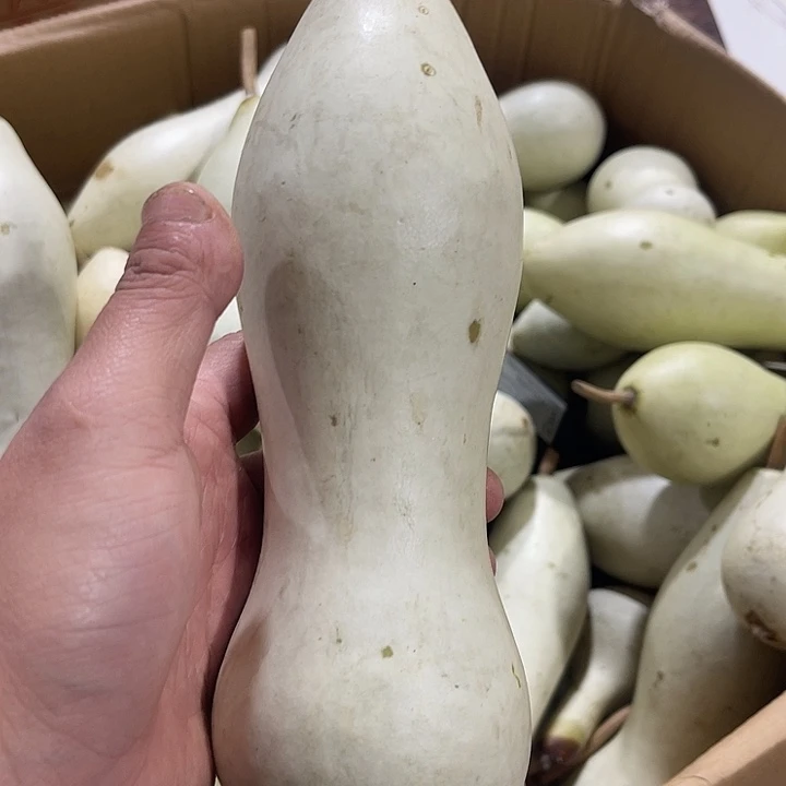 非洲紫檀（红花梨）通*