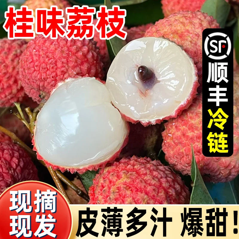 【顺丰助农+桂味】老树纯甜新鲜现摘桂味荔枝应当季顺丰水果整箱6斤