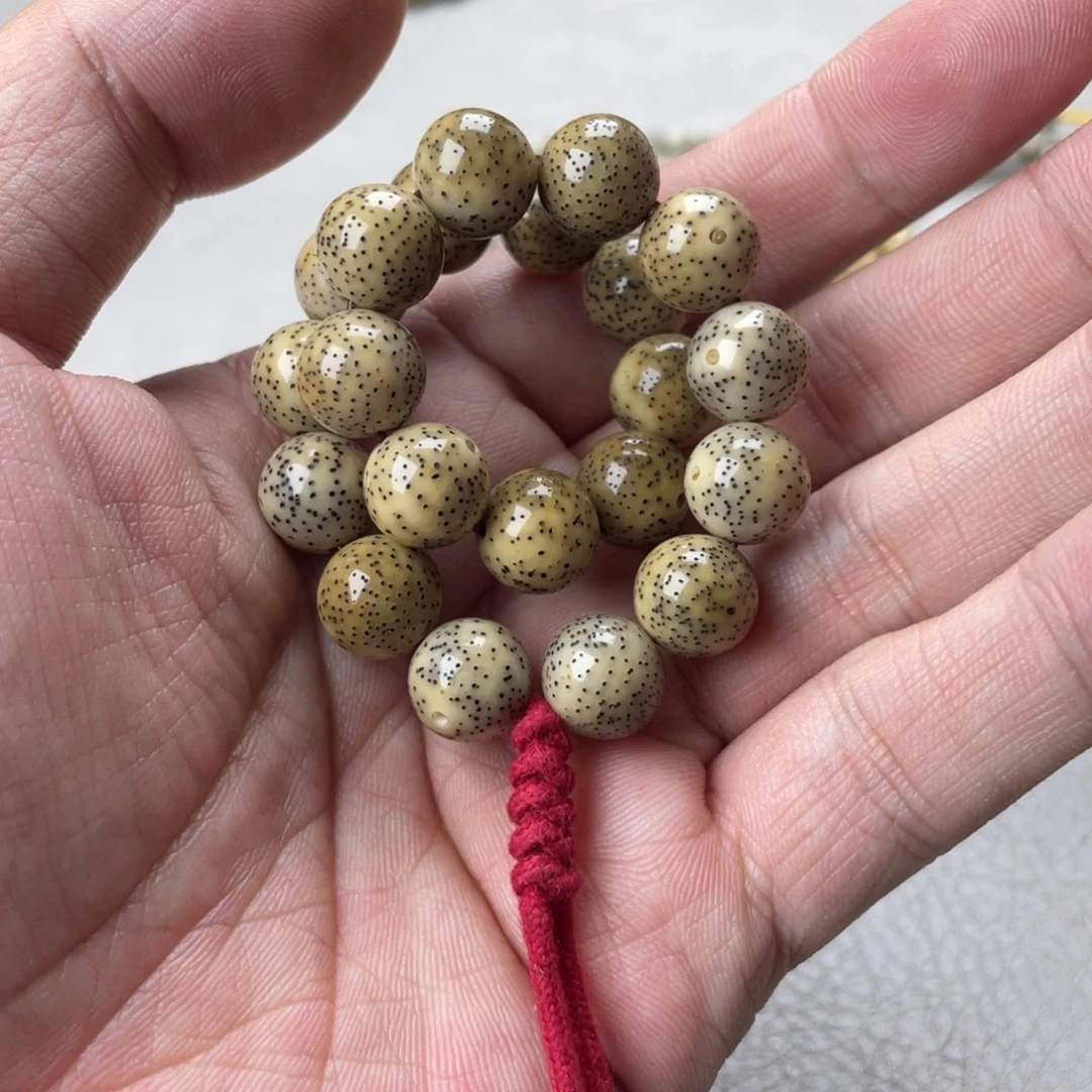 星月菩提吊坠押车勿拍星月菩提大肠