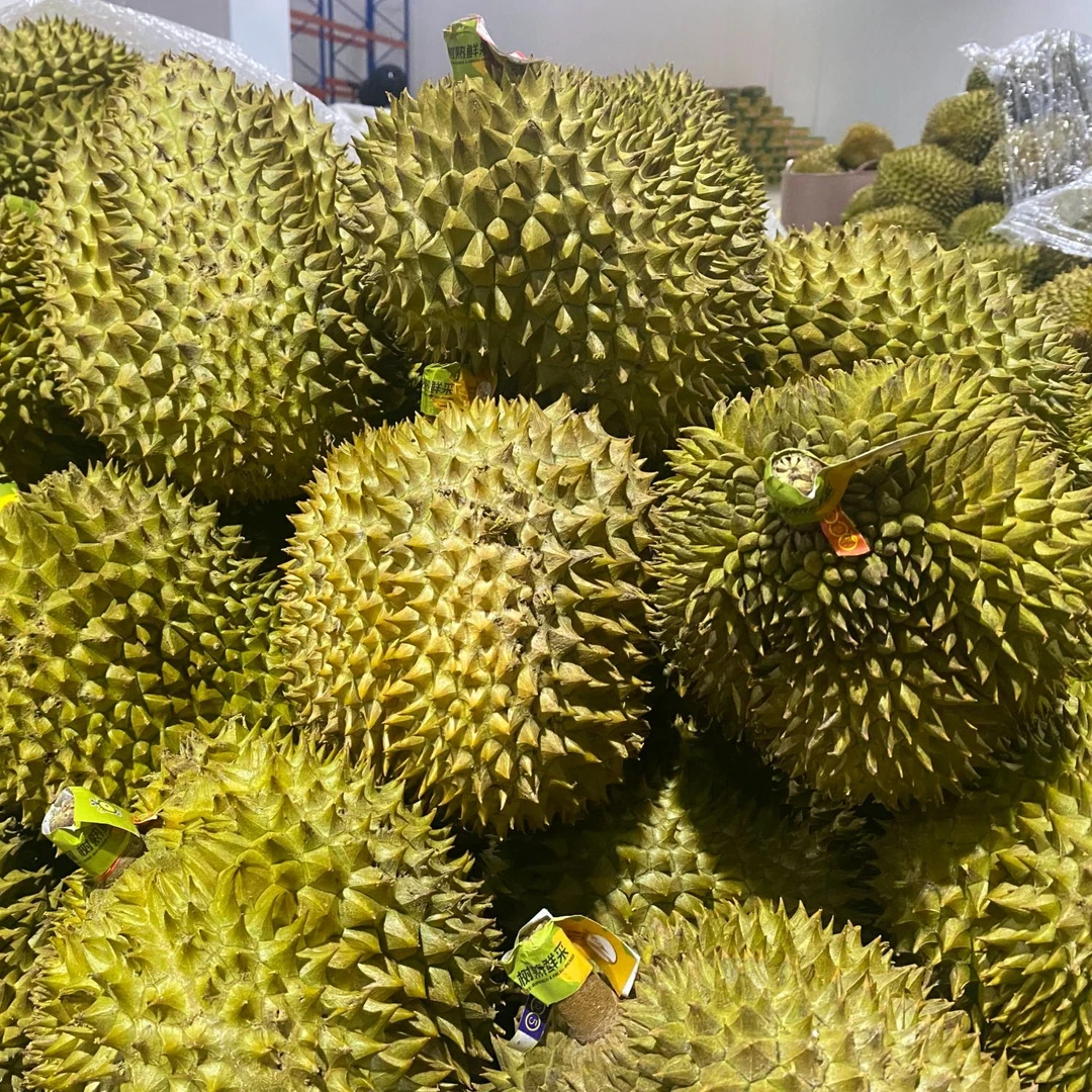 【覃专属】2号秤手挑B果  新鲜金枕榴莲带壳软糯香甜