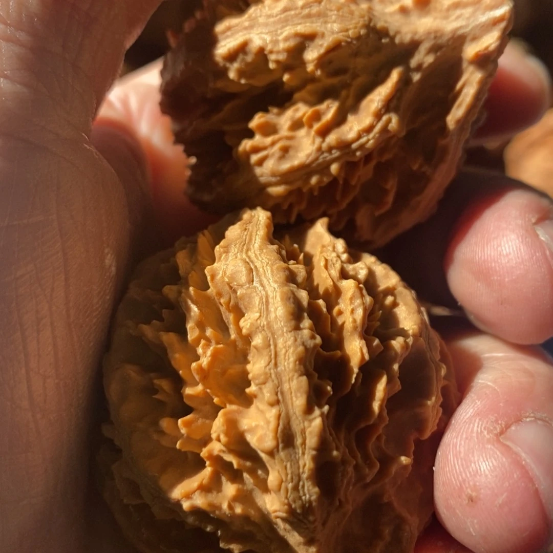 清***郎秦岭南侧和东北的山门