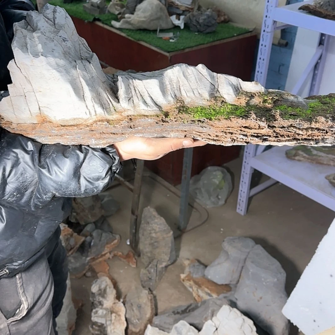 【闪购商品】香榧木刹**厂这样就能有个机会一起看电视