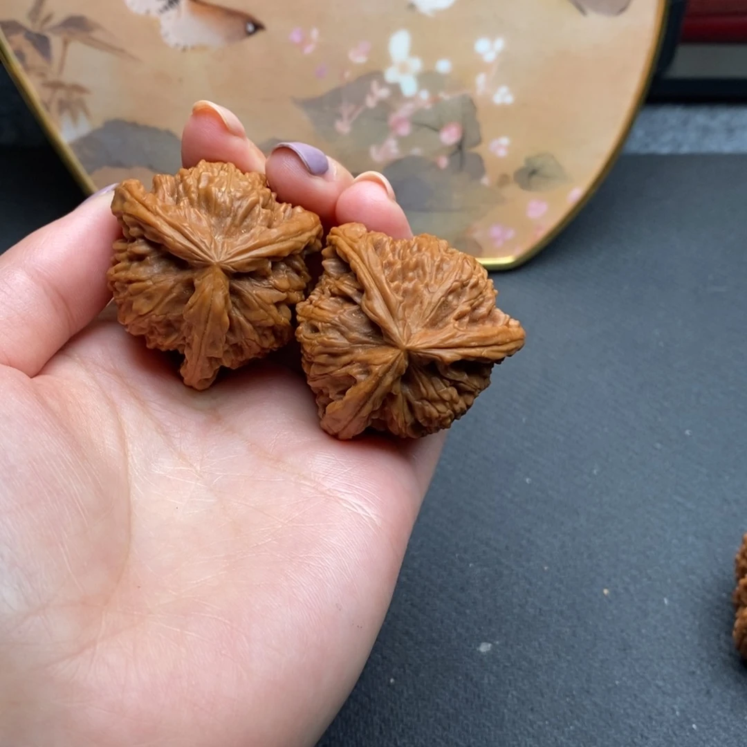 志**生白狮子111111111111