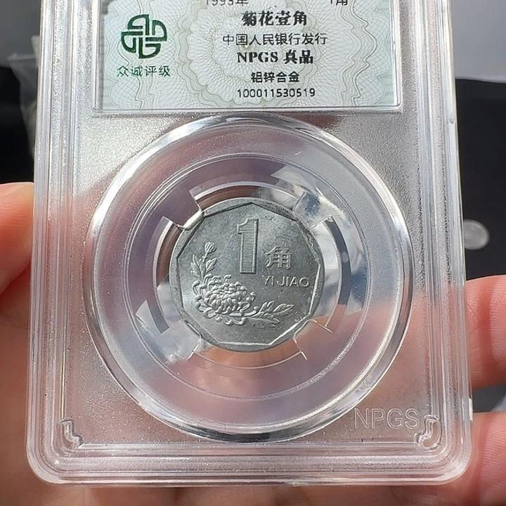 森***材菊花一斤啊啊啊啊啊