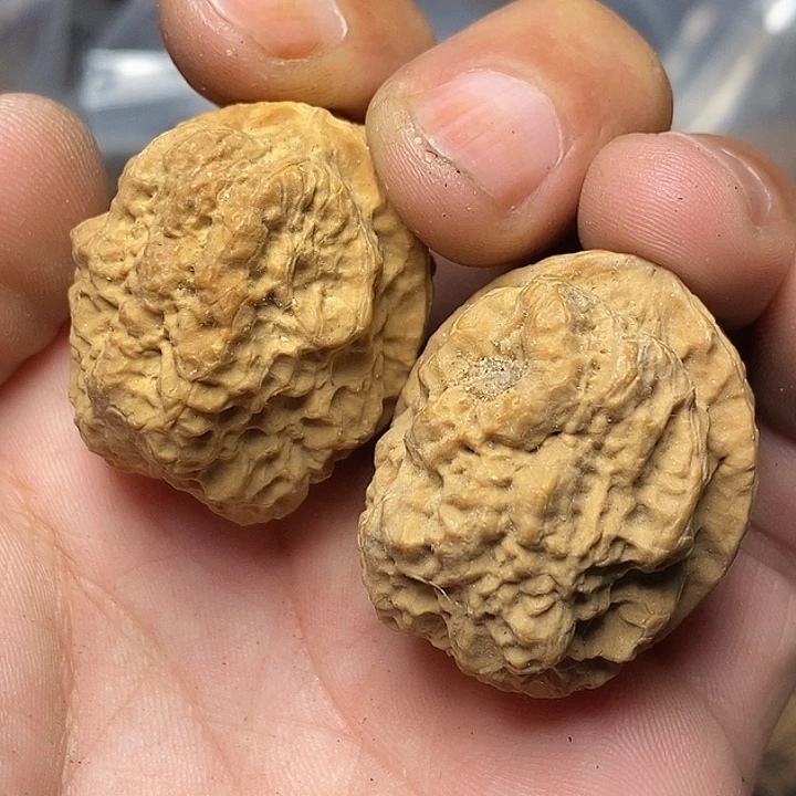 文玩核桃把件云南铁核桃89号37mm