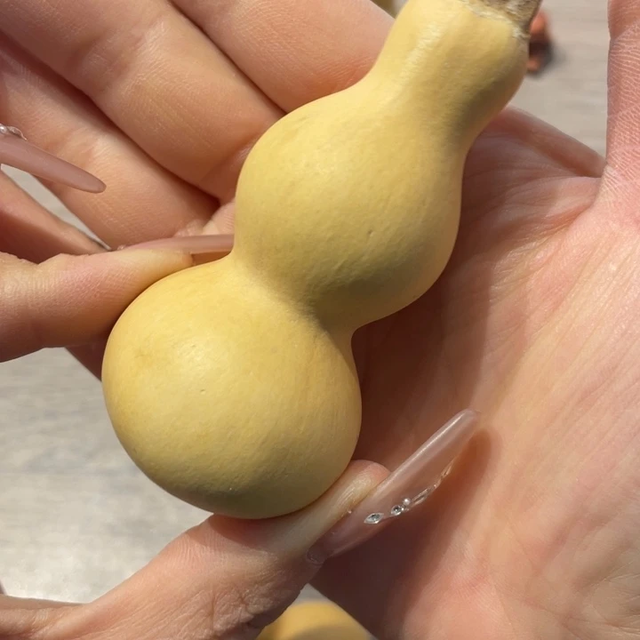 高*粗嘴葫芦粗嘴葫芦