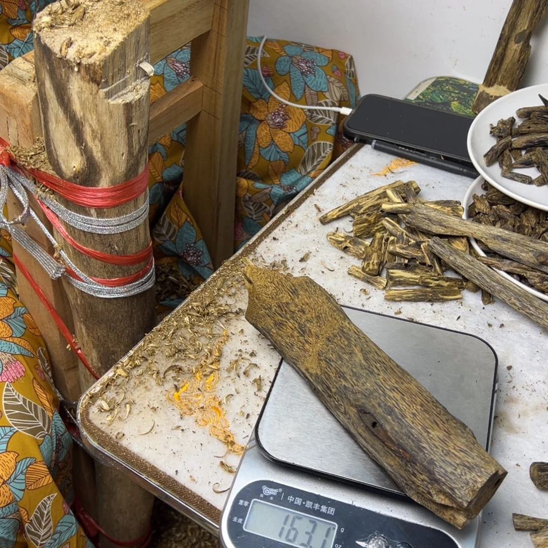 线香奇楠虫漏香163克