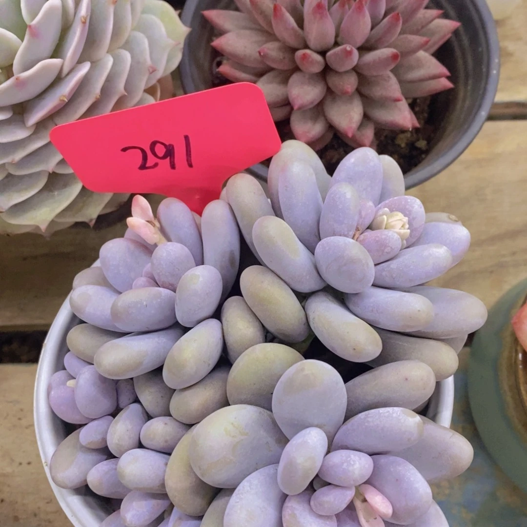 清货转场，一单包邮，满5宋1