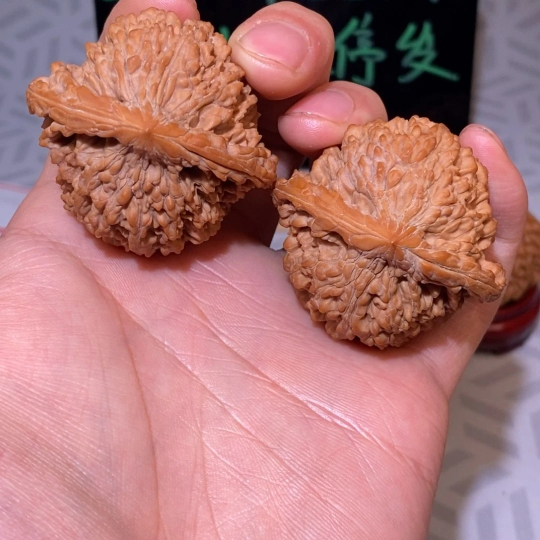 47尺满天星 白茬 大尺寸 精配