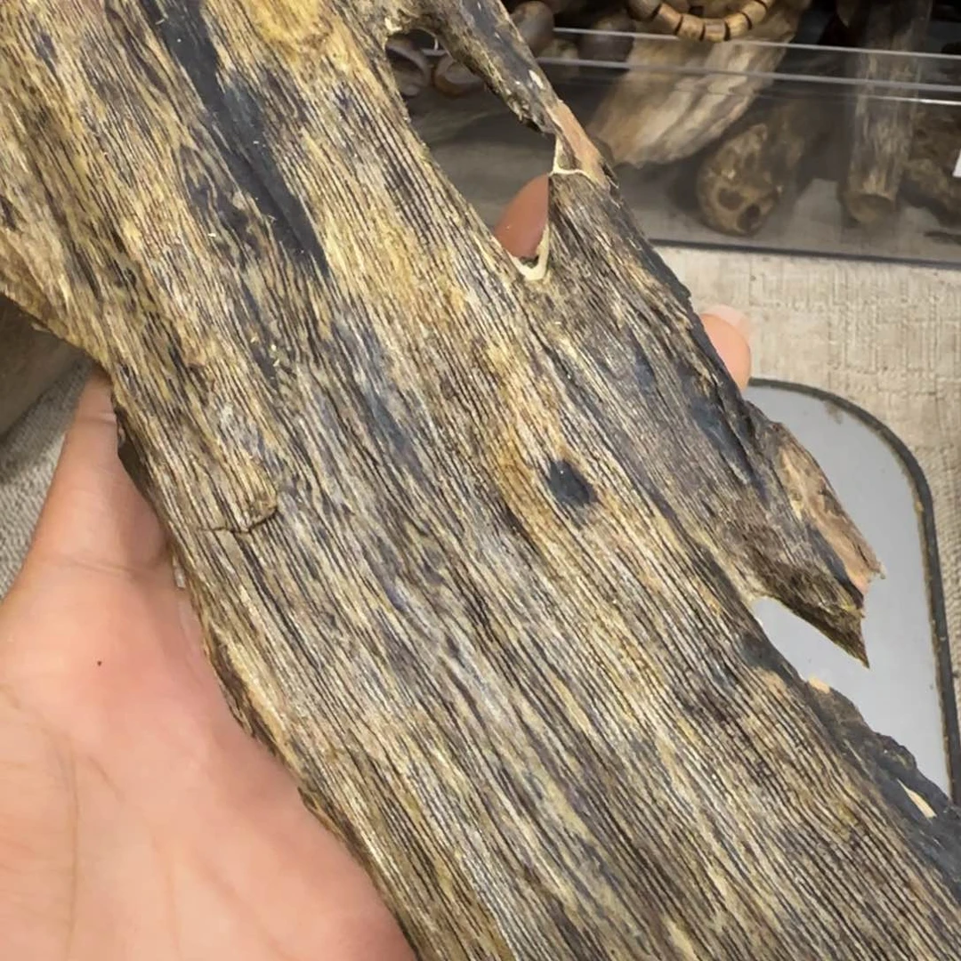 沉香木摆件万**然海南棋楠沉香陆河块料127