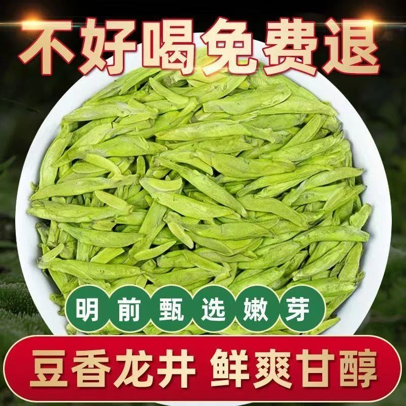 源头厂家直销 浓香耐泡 2025年新茶 明前绿茶大佛龙井茶 豆香味