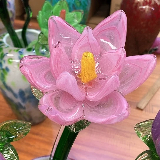 夜光花高45厘米宽12厘米